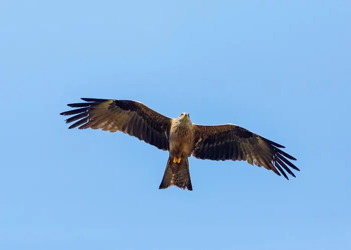 Apartamento Roter Milan *